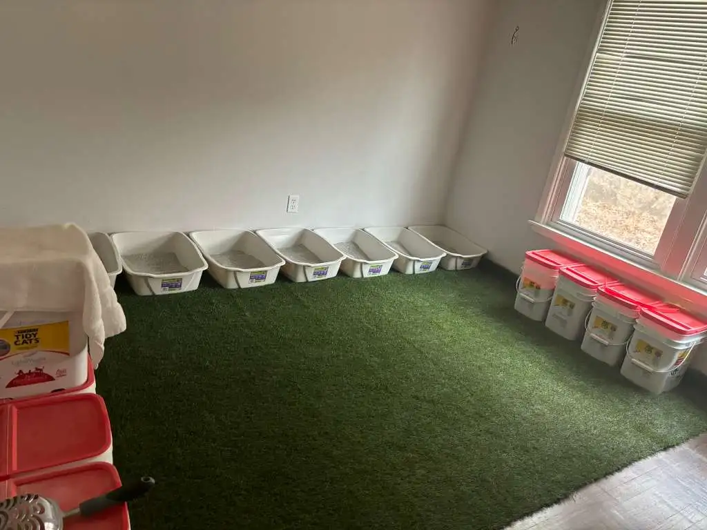 Cuarto de lavado limpio